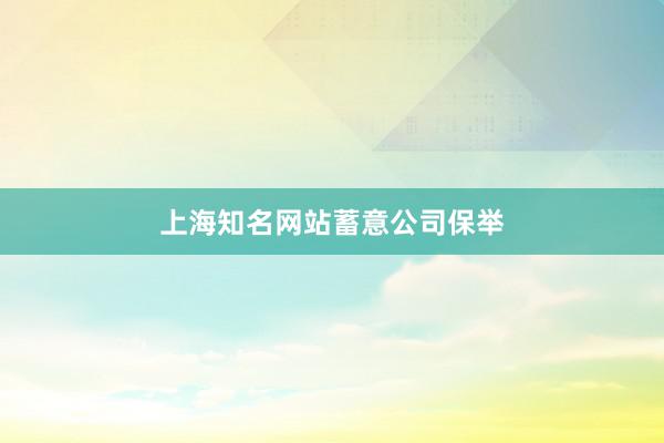 上海知名网站蓄意公司保举