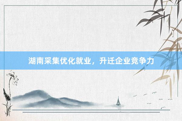 湖南采集优化就业，升迁企业竞争力